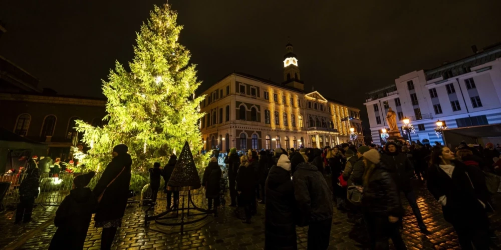 Елка на Ратушной площади в 2024 году.