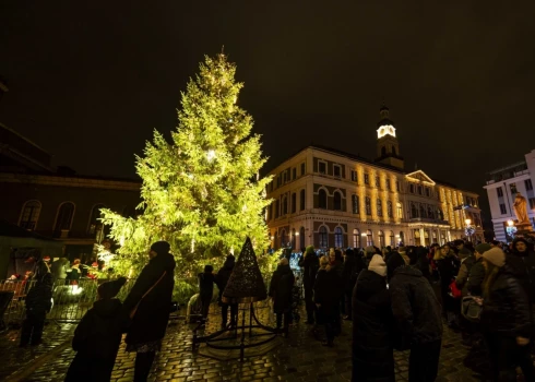 Елка на Ратушной площади в 2024 году.