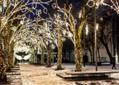 Ogres novadā norisināsies daudzveidīgi Ziemassvētku egļu iedegšanas pasākumi 