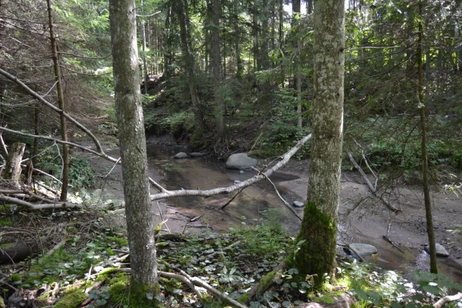 Daudzas Latvijas upītes ir šauras un īsākas par 10 kilometriem.