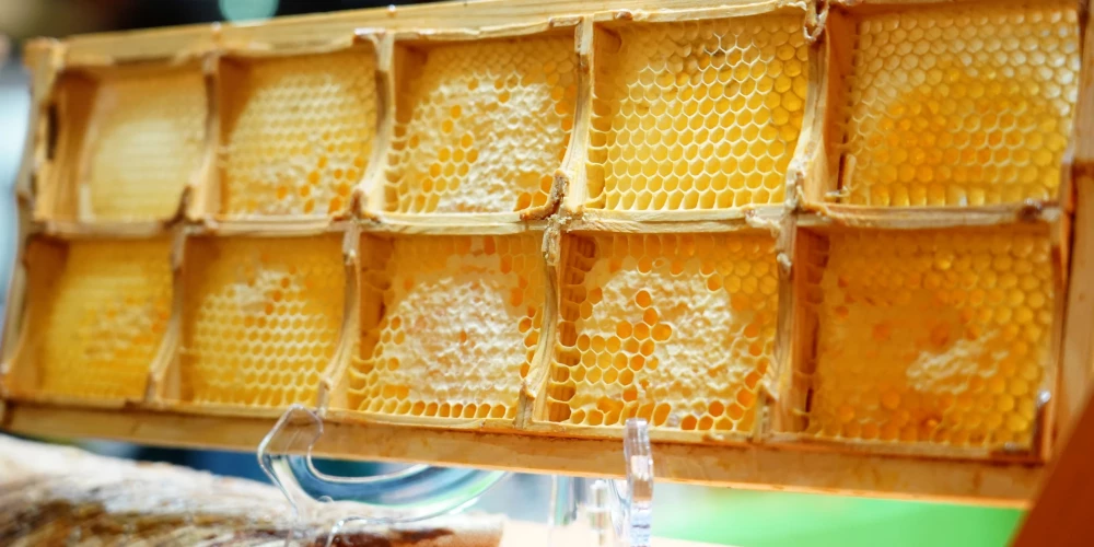 Ilustratīvs attēls.