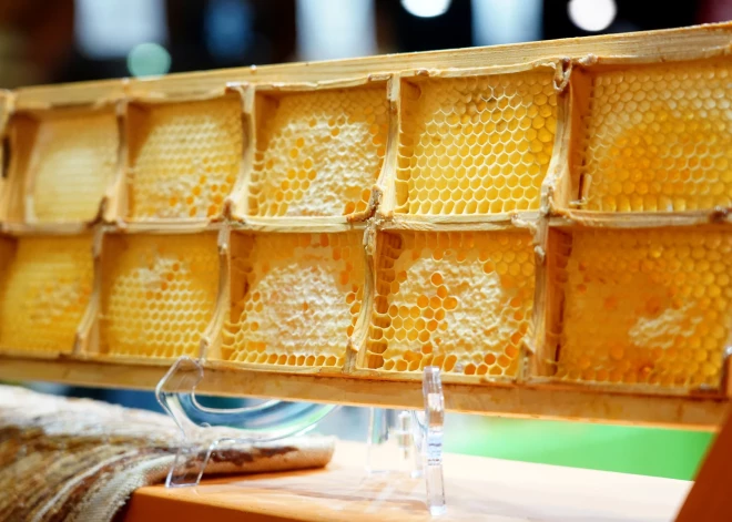 Kāds medus ir visvērtīgākais un vai to drīkst sildīt: biškopja galīgā atbilde