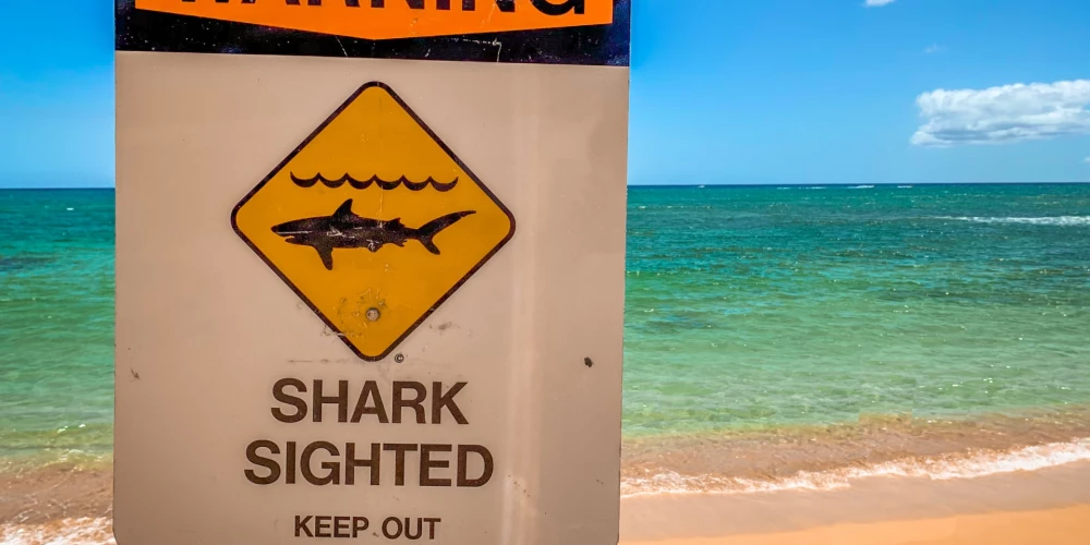 Иллюстративное фото.