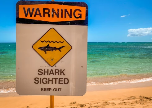 Иллюстративное фото.