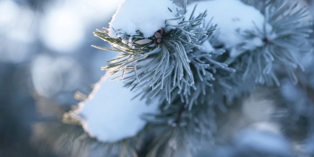 Nedēļas nogalē termometra stabiņš zem nulle grādiem nokritīs vien naktīs. 
