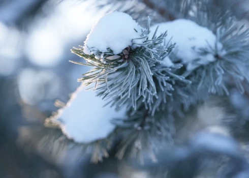 Nedēļas nogalē termometra stabiņš zem nulle grādiem nokritīs vien naktīs. 