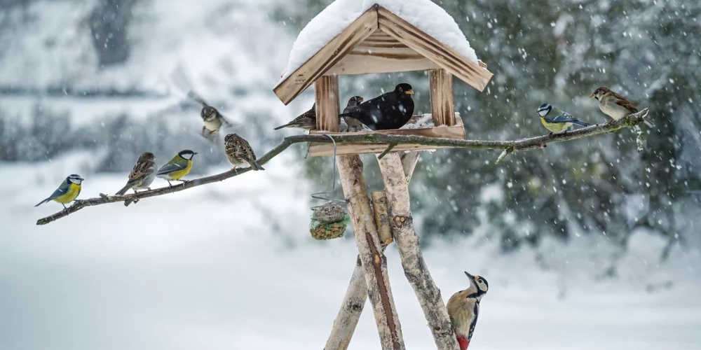 Иллюстративное фото.