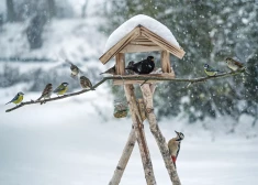 Рынок жилья Латвии оживился, однако людей интересуют вовсе не квартиры в столице