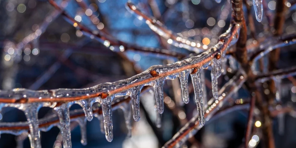 Латвийцев предупреждают о мощном образовании льда на всех поверхностях.