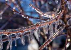 Жителям Латвии из-за опасной погоды разослали экстренное предупреждение на телефоны