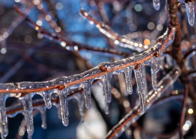 Жителям Латвии из-за опасной погоды разослали экстренное предупреждение на телефоны