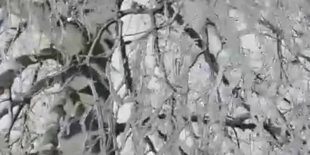 Stipra atkala paralizē reģionus.