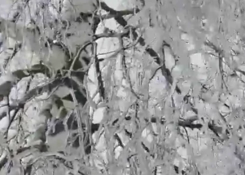 Stipra atkala paralizē reģionus.