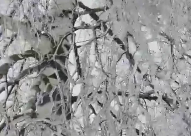 Vidzemē novērota spēcīga atkala: ledus slānis vietām pārsniedz centimetru