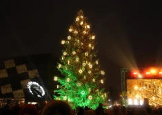 Главную ель Риги зажгли при плохой погоде: около 300 человек все равно пришли на Ратушную площадь