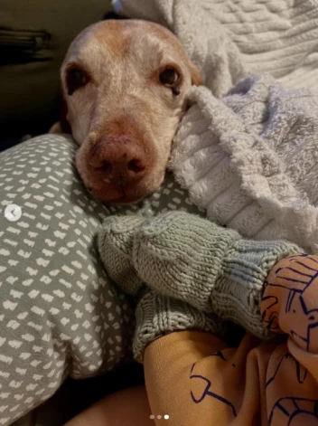 Kurpnieku ģimenei piedzimis mazulis.