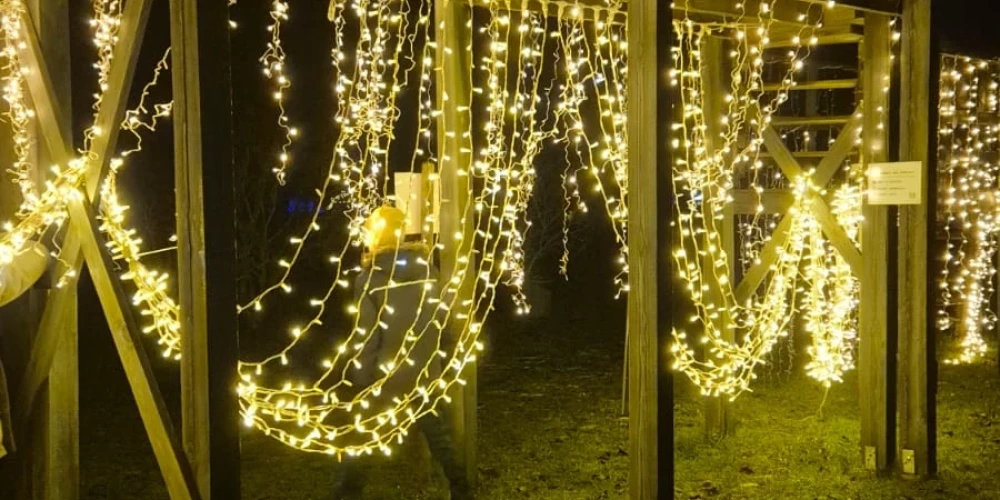 No 29. novembra līdz 21. decembrim Dobelē norisināsies “Ziemas dārzs”.