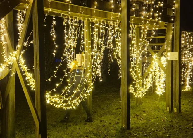 No 29. novembra līdz 21. decembrim Dobelē norisināsies “Ziemas dārzs”.