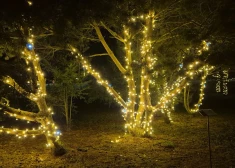 FOTO: Dobeles Ceriņu dārzs pārtop ziemas pasakā — atklāts “Ziemas dārzs”