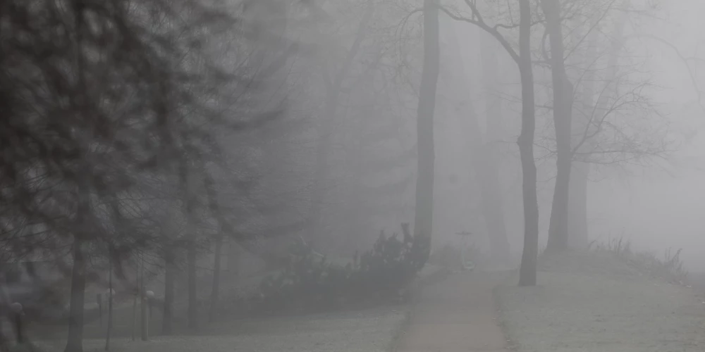 Иллюстративное фото.