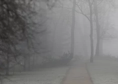 Облачное воскресенье в Латвии: без осадков, но с туманом