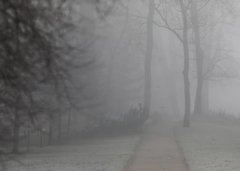 Иллюстративное фото.