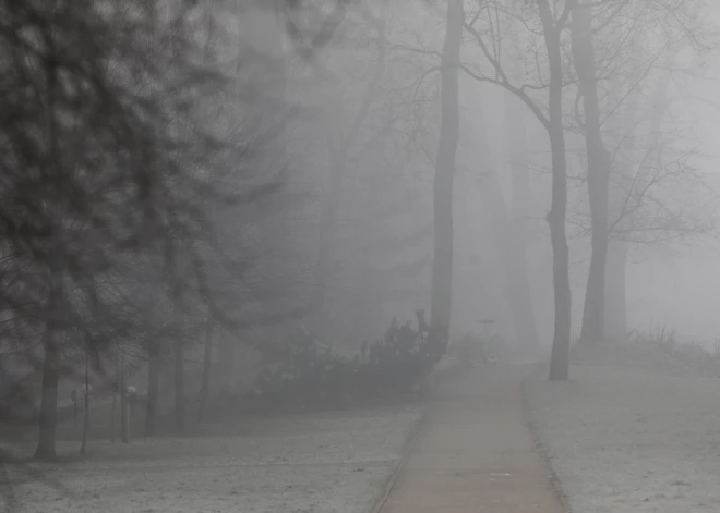 Облачное воскресенье в Латвии: без осадков, но с туманом