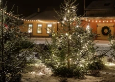 Limbažu novadā visi aicināti greznot īpašās svētku eglītes