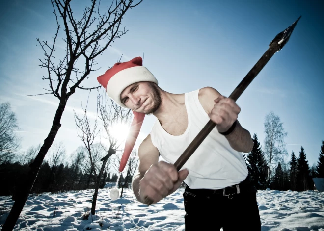 Не рубите сплеча: рижан просят пожалеть елки вокруг столицы