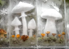 Холод отступает: на новой неделе в Латвии ожидается мягкая оттепель и почти весенние +8 на побережье