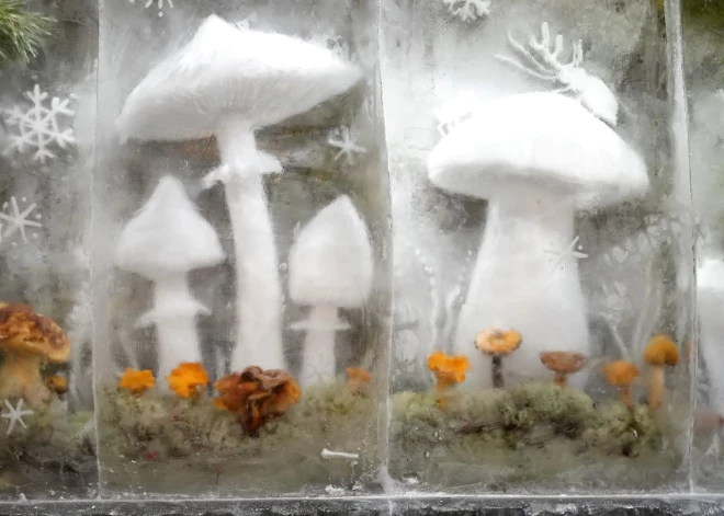 Холод отступает: на новой неделе в Латвии ожидается мягкая оттепель и почти весенние +8 на побережье