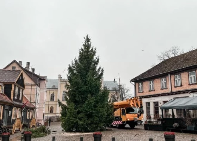 Kuldīgas Rātslaukumā uzstādīta galvenā Ziemassvētku egle