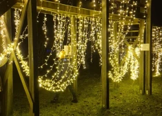 ФОТО: сиреневый сад в Добеле впервые превратился в зимнюю световую сказку. Вход бесплатный!