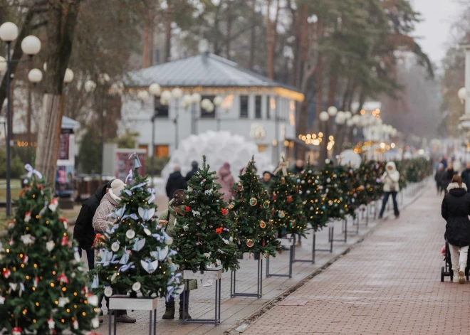 29 ноября Юрмала дала старт периоду ожидания Рождества - была зажжена главная городская елка и открыта «Аллея елочек» на улице Йомас.