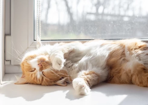 Весна всегда возвращается!