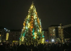 Jelgavniekus iepriecina iedegtā lielā pilsētas egle