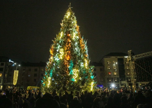 Iedegtā Ziemassvētku egle Jelgavā (publicitātes foto)