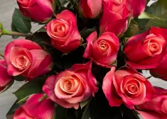 Šonedēļ populārākie vārdi - Nikolajs un Baiba, vispopulārākais bērnu vārds - Nikola