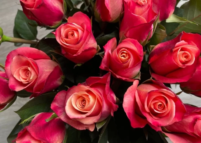 Šonedēļ populārākie vārdi - Nikolajs un Baiba, vispopulārākais bērnu vārds - Nikola