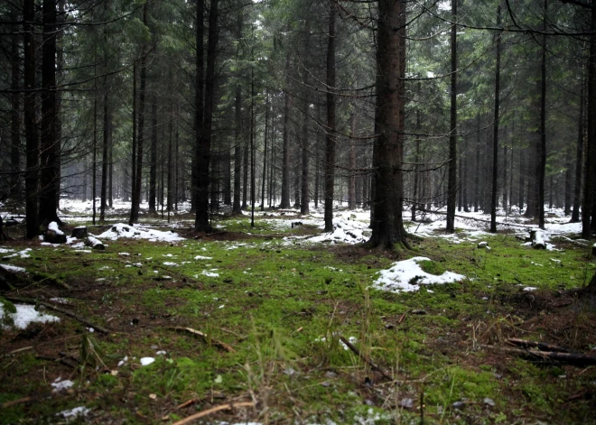 Оттепель продолжится: во вторник температура в Латвии достигнет +4 градусов