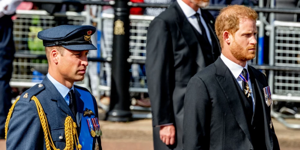 Izskan runas, ka princis Viljams un princis Harijs, iespējams, atkal satiksies.