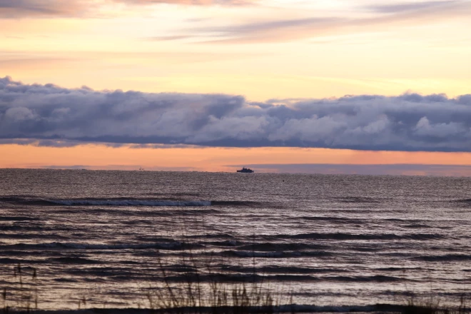 Baltijas jūra nevar lepoties ar dažādu zivju bagātību, bet prasme no brētliņas gatavot visā pasaulē iecienītus produktus, mazo zivtiņu ļauj dēvēt par “Latvijas naftu”.