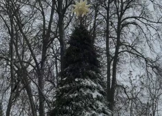 6. decembrī pie Alūksnes Jaunās pils iedegs novada galveno egli