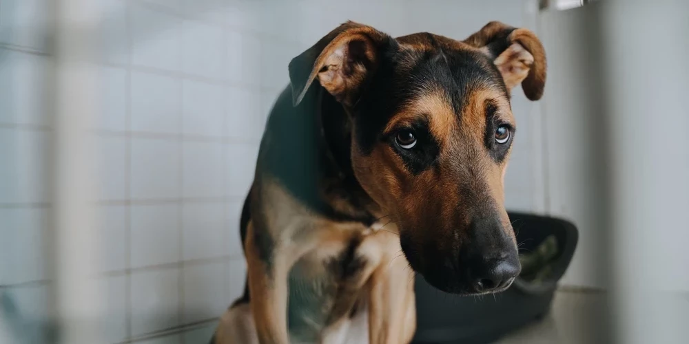 Иллюстративное фото.