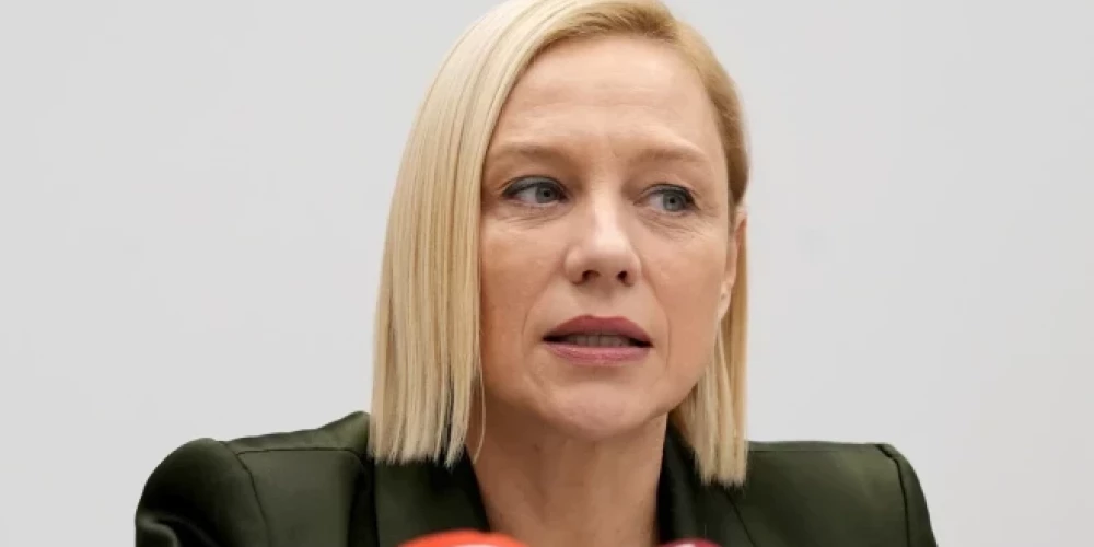 Глава VID Байба Шмите-Роке.