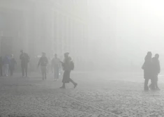 Латвию накрыл туман: объявлено оранжевое предупреждение, может быть нарушено движение транспорта 