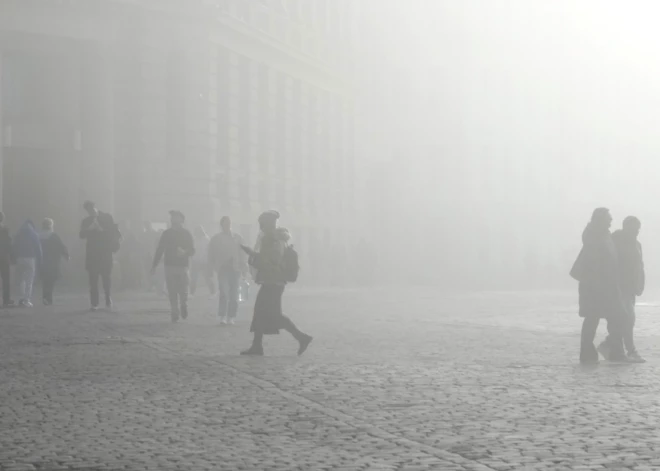 Латвию накрыл туман: объявлено оранжевое предупреждение, может быть нарушено движение транспорта