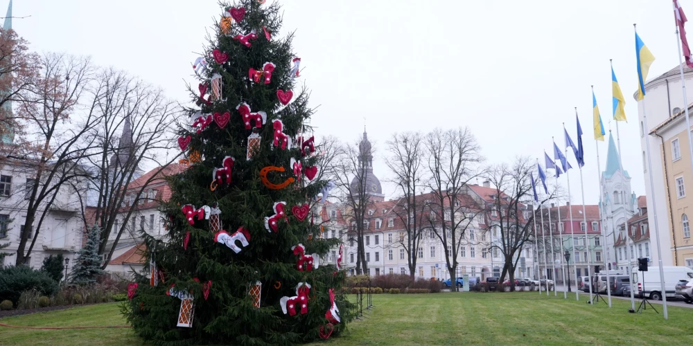 Svētku egle laukumā pie Rīgas pils./Ilustratīvs attēls.