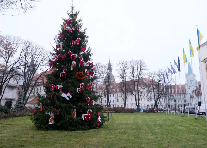 Divas Līvānu novada skolas godinātas Rīgas pilī pie Valsts prezidenta