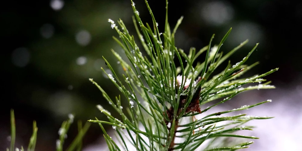 Trešdien mākoņi izklīdīs tikai dažviet Kurzemē.